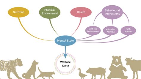 carmen breitling|Aspects of food control and animal health 4 .